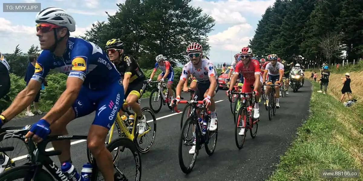 👑冠军同款，把胜利带回家！🏅